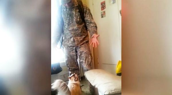 Soldier Welcomed Home By Insanely Excited Cat Will Blow Your Mind