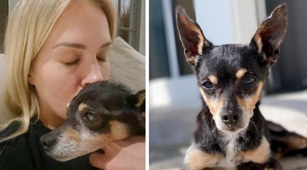 Carrie Underwood Mourns Death Of Her Beloved Dog Ace