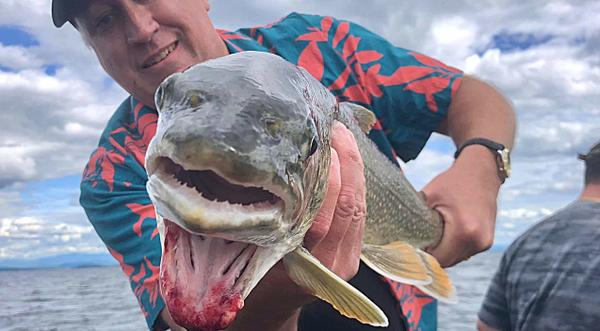 Fish With Two Mouths Caught Again In Lake Champlain