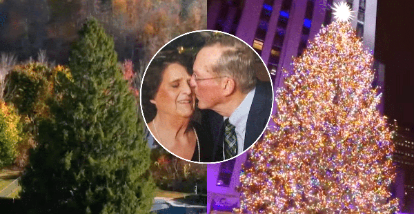 The Emotional Story Behind The 2024 Rockefeller Christmas Tree