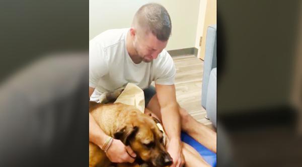 Tim Tebow Cries In Video Saying Goodbye To Dog Bronco