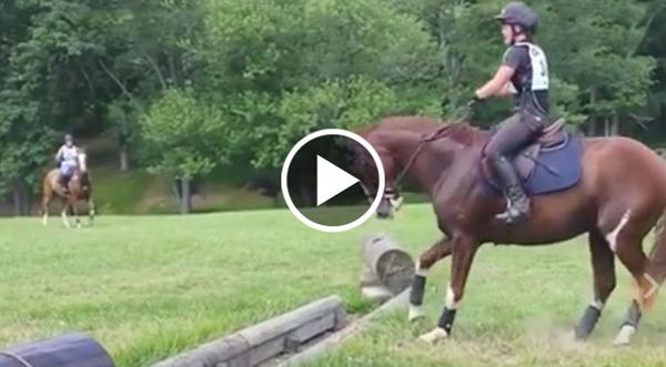 Horse's Hysterical Attempt At Jumping Over An Obstacle Will Leave You In Stitches