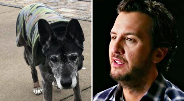9 Days After Bringing Him Home, Luke Bryan’s Dog Has Passed Away