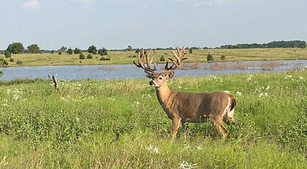 Mississippi Man Scores 200-Inch, 24-Point Nontypical Buck On Hunt