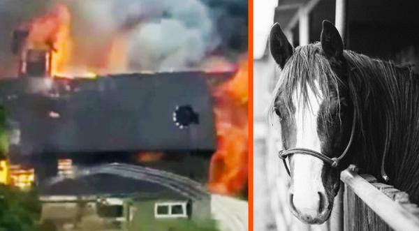 ‘Suspicious’ Barn Fire Results In Death Of 11 Horses