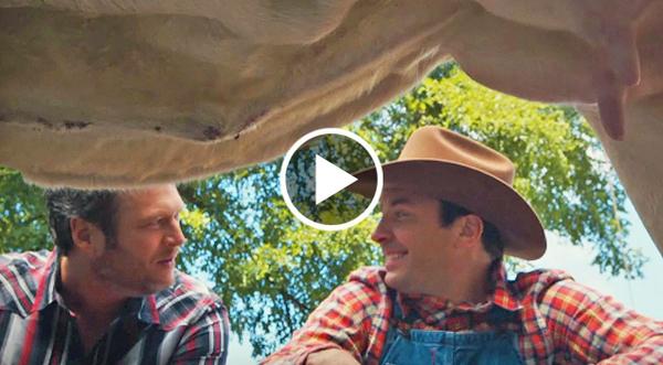 Blake Shelton Teaching Jimmy Fallon How To Milk A Cow Is The Only Thing You Need To See Today