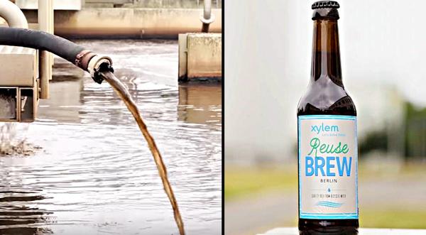 Beer Made From Toilet Water Brewed In Berlin