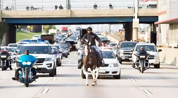 Cowboy Arrested After Riding Horse On Freeway During Rush Hour Traffic