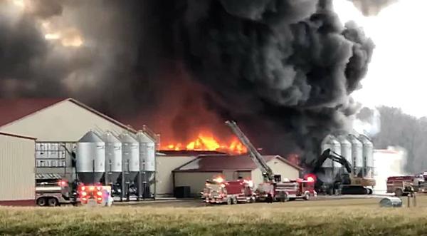300,000 Chickens Perished After Poultry Farm Caught On Fire In Michigan