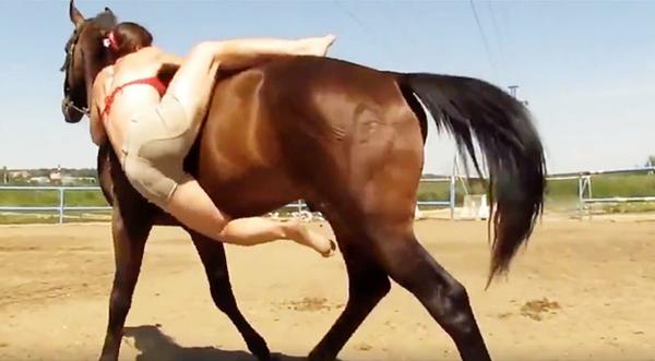 Woman Struggling To Mount Horse Gets Surprise From The Impatient Animal
