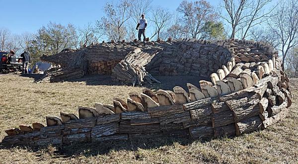 60-Foot Wooden Alligator Built For Bonfire In Louisiana Is Catching Media’s Attention