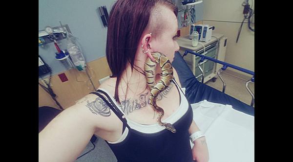  Snake Slithers Through Woman's Earlobe Hole And Gets Stuck