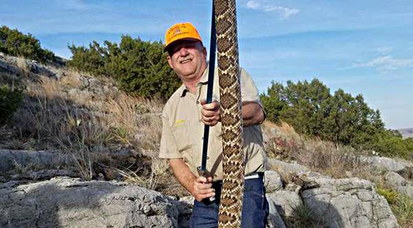 4-Foot-Long Rattlesnakes Caught in Oklahoma