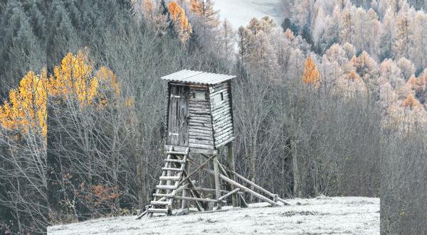 Hunter Battles Rattlesnake Inside Deer Blind
