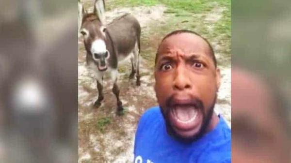 Video Of Man & Donkey Singing Famous ‘Lion King’ Song Sweeps The Internet