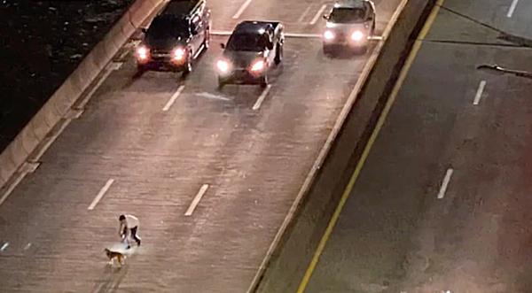 Mystery Man Afraid Of Dogs Stops Traffic On Busy Highway To Save One