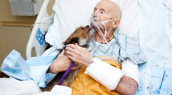 Marine Veteran In Hospice Granted Wish To See His Dog One Last Time