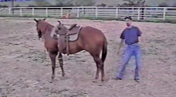 Cowboy Teaches Us How To Mount A Horse, But Something Goes Hysterically Wrong!