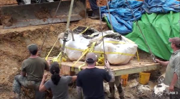 New Dinosaur Species Found In Missouri