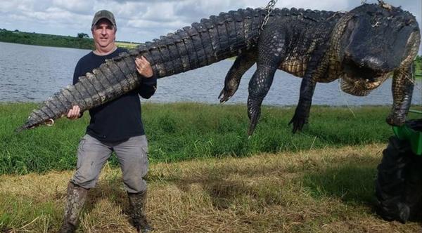 Man Kills Gigantic Gator After Livestock Goes Missing
