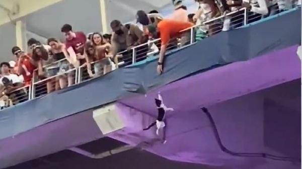Cat Survives Fall From Stadium Deck After Fans Break Fall With An American Flag