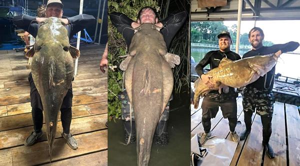 Texas Men Noodle Potential Record-Breaking 98-Pound Catfish