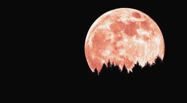 4 Days Until The Full Pink Moon – Here’s What It Means
