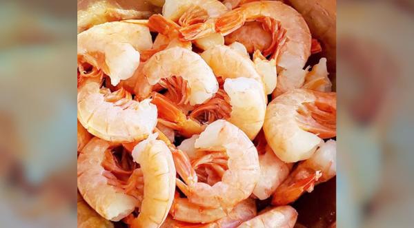 Scientists Just Found Cocaine In Shrimp