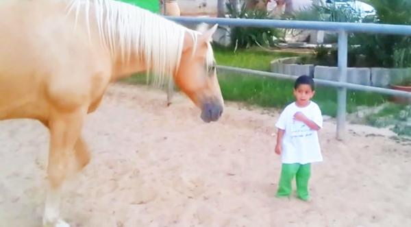 Horse Walks Up To Little Boy With Rare Disorder & Leaves His Mom Speechless