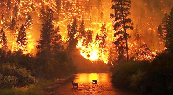 Two Arrested For Starting Tennessee Fires That Killed 14