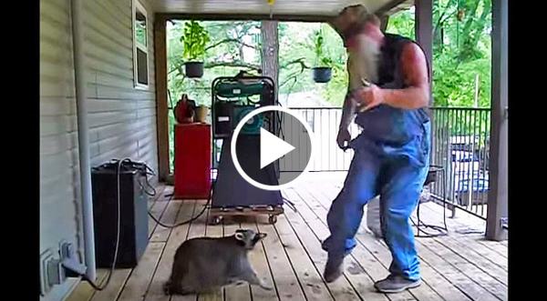This Country Man Starts Dancing, But When The Raccoon Joins In? Hysterical!