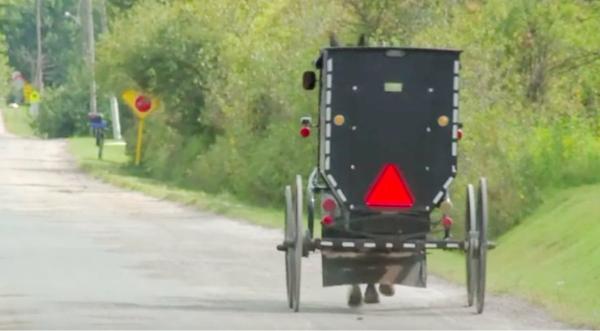 Cops Catch Amish Men Drinking Beer In Buggy – They Run Away & So Does The Horse