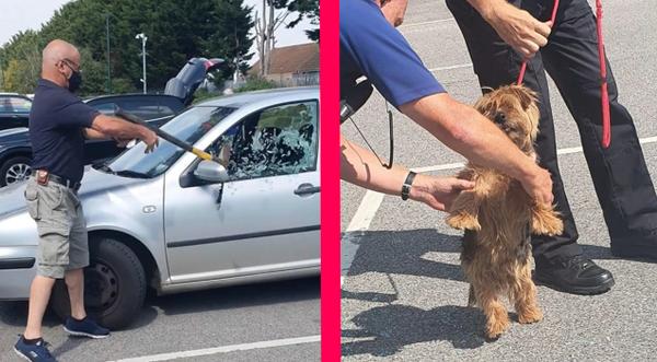 Man Uses Axe To Save Dog Trapped In Hot Car