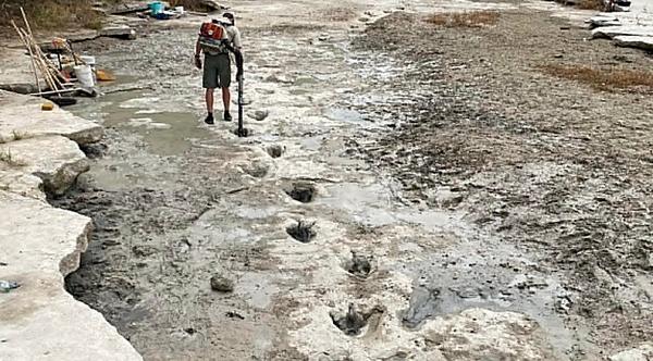 Longest Dinosaur Tracks Ever Found Discovered During Texas Drought