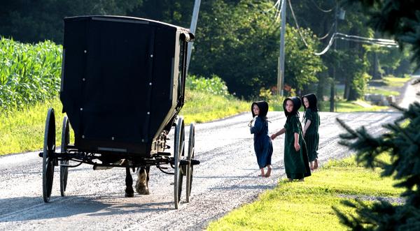 “Horrific Scene” – 3 Children Killed In Horse & Buggy Crash