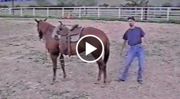 Cowboy Teaches Us How To Mount A Horse, But Something Goes Hysterically Wrong! (WATCH)