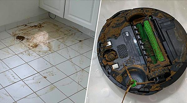 Robot Vacuum Runs Over Dog Doo And Smears It Everywhere