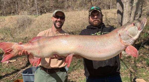 55-Inch Muskie Breaks West Virginia State Record