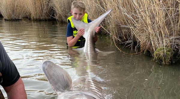 12-Year-Old Boy Reels In 10-Foot Fish, Almost Ties 100-Year Old Record