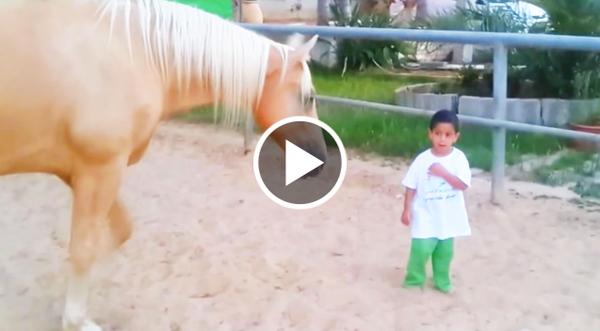 Horse Walks Up To Little Boy With Rare Disorder… Now Pay Close Attention To His Hand