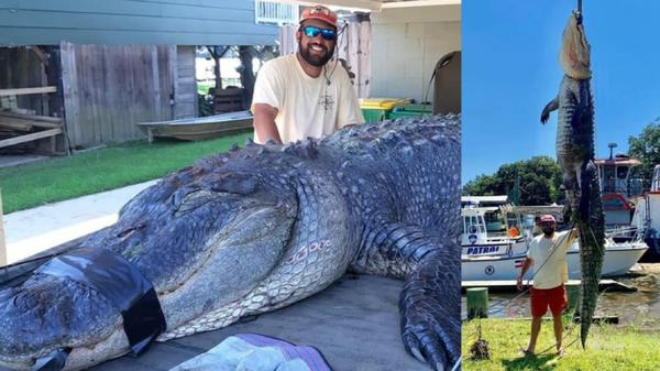 Hunters Catch Monster Gator Six Minutes After Season Opens