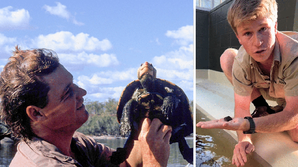 Robert Irwin Carries on His Father’s Legacy with First-Ever Irwin’s Turtle Hatched