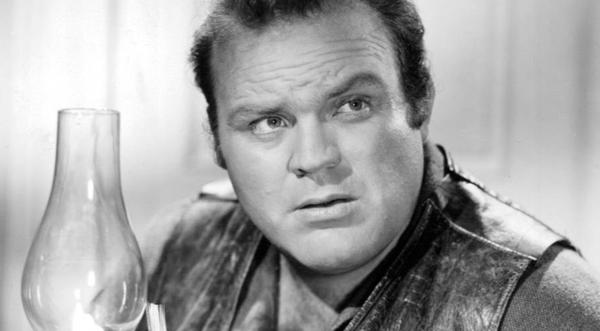 Son Of Late 'Bonanza' Actor Is Famous Too - And Looks Just Like Him