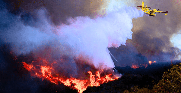 Pacific Palisades Fire: Where To Find Shelters And Other Support
