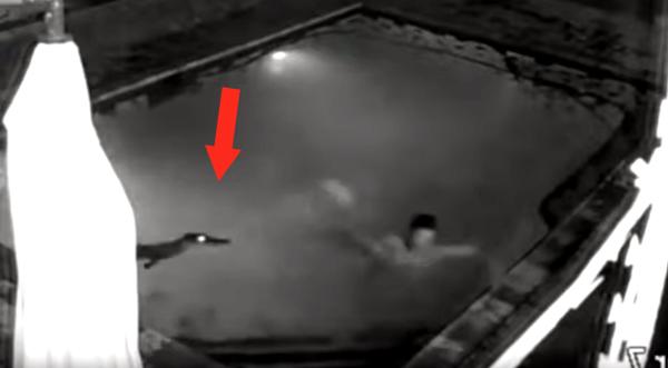 Man Bails As Gator Attacks Woman In Pool
