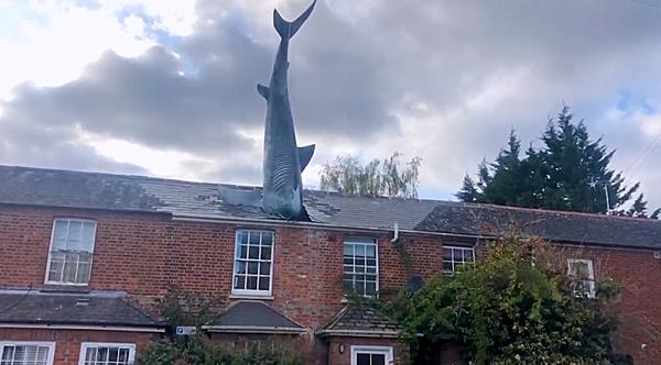 Homeowner With 25ft Shark Sticking Out Of Roof Battles City Council