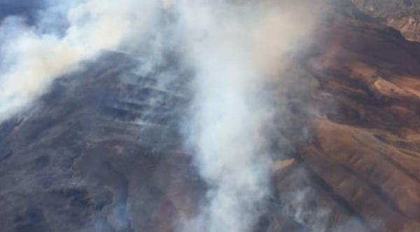 2 Pilots Dead After Air Tankers Collide While Fighting Nevada Wildfires