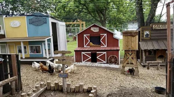 Man Builds Wife’s Chickens A ‘Wild West Coop Town’