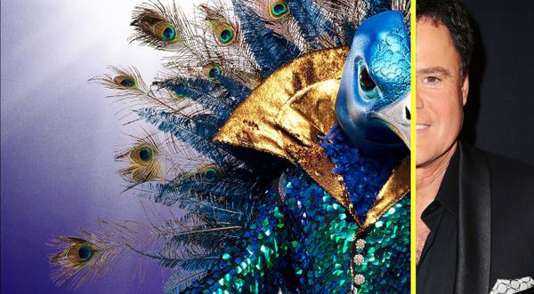 The Truth Is Out About Donny Osmond & “Masked Singer”