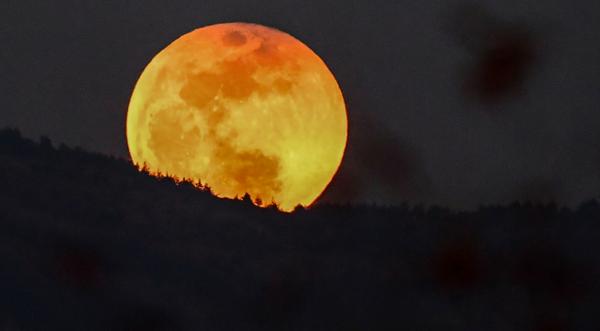 4 Days Until Rare Super Wolf Blood Moon - Here's What It Means